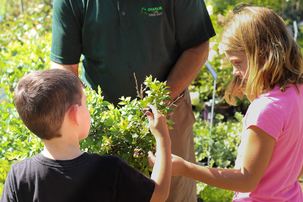 Family business Charlie + grandkids